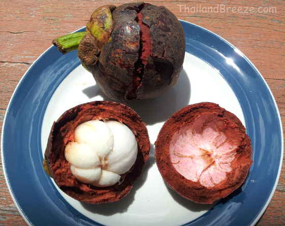 This is a simple way to open a mangosteen with your hands.