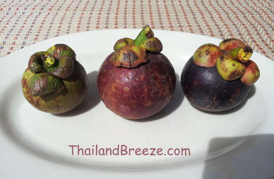 As mangosteens ripen, the rind changes from green, to red and purple.